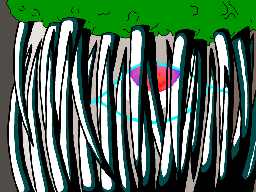 teeth